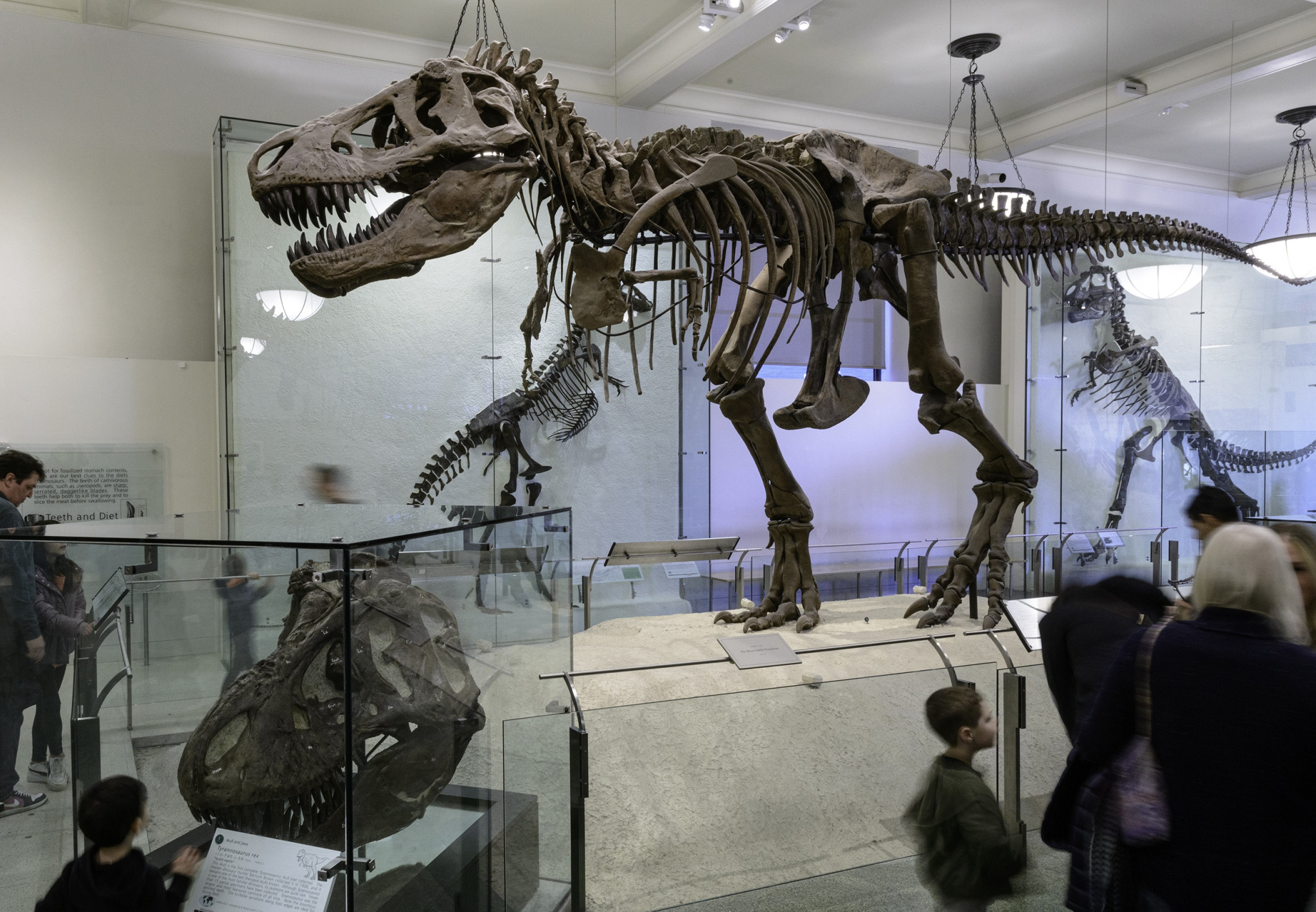 American Museum of Natural History Tickets - Photo 1 of 17